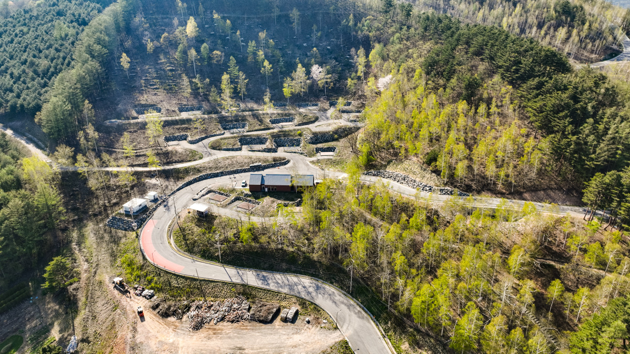 매봉산 천상의 숲 5번째 이미지