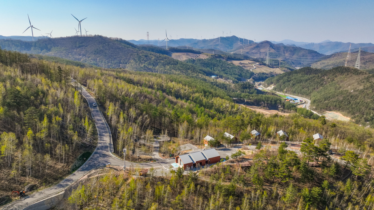 매봉산 천상의 숲 7번째 이미지