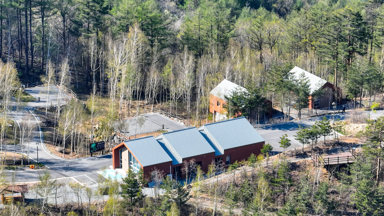 매봉산 천상의 숲 11번째 이미지