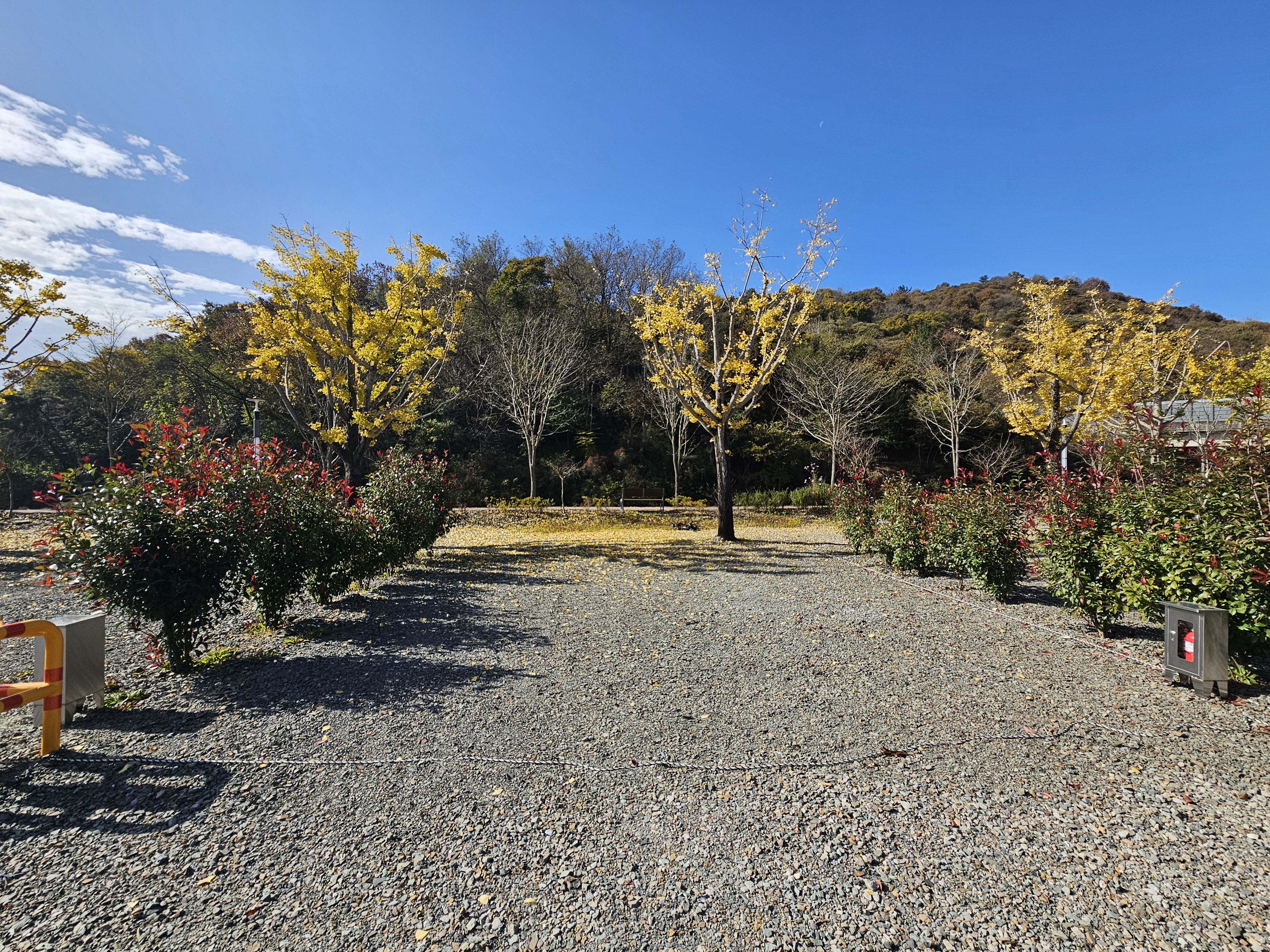 춘풍원 농촌체험 휴양마을 야영장 이미지