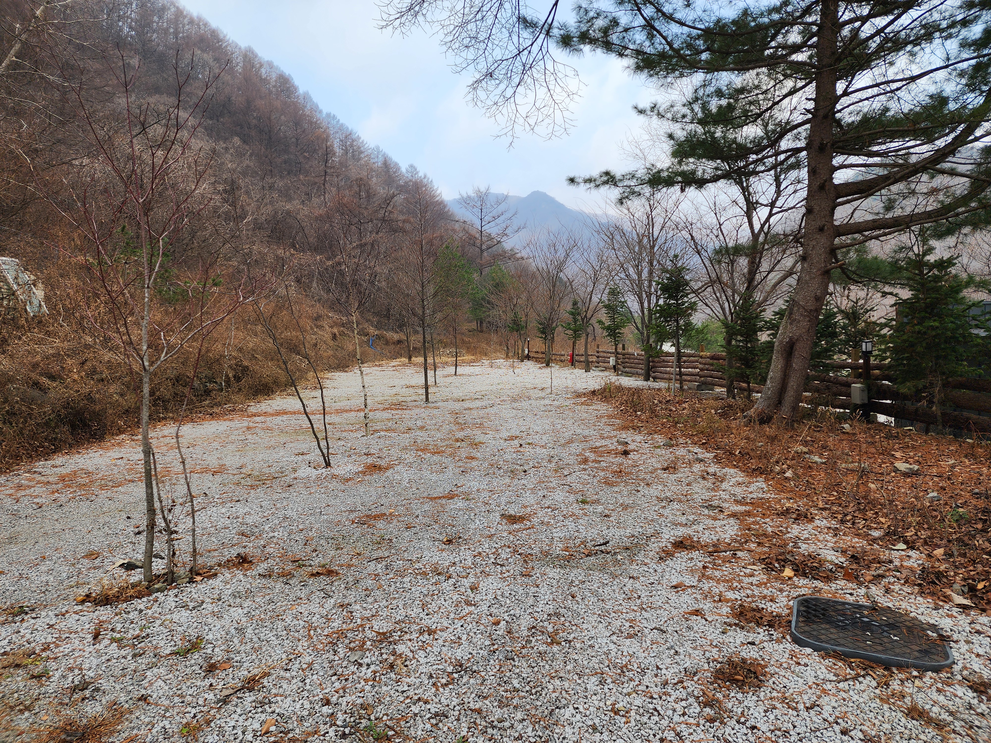 담터 민수 캠핑장 이미지