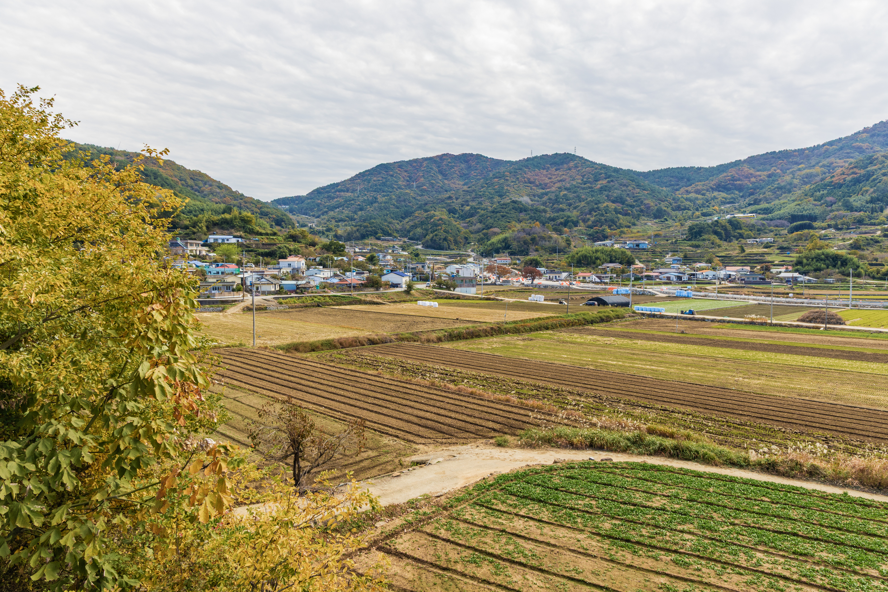 덕신야영장 5번째 이미지