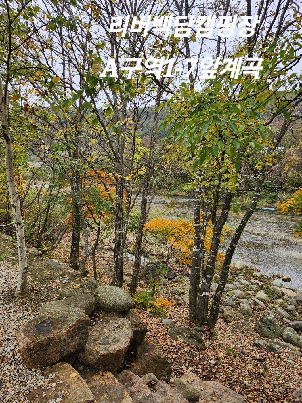 리버백담 캠핑장 3번째 이미지