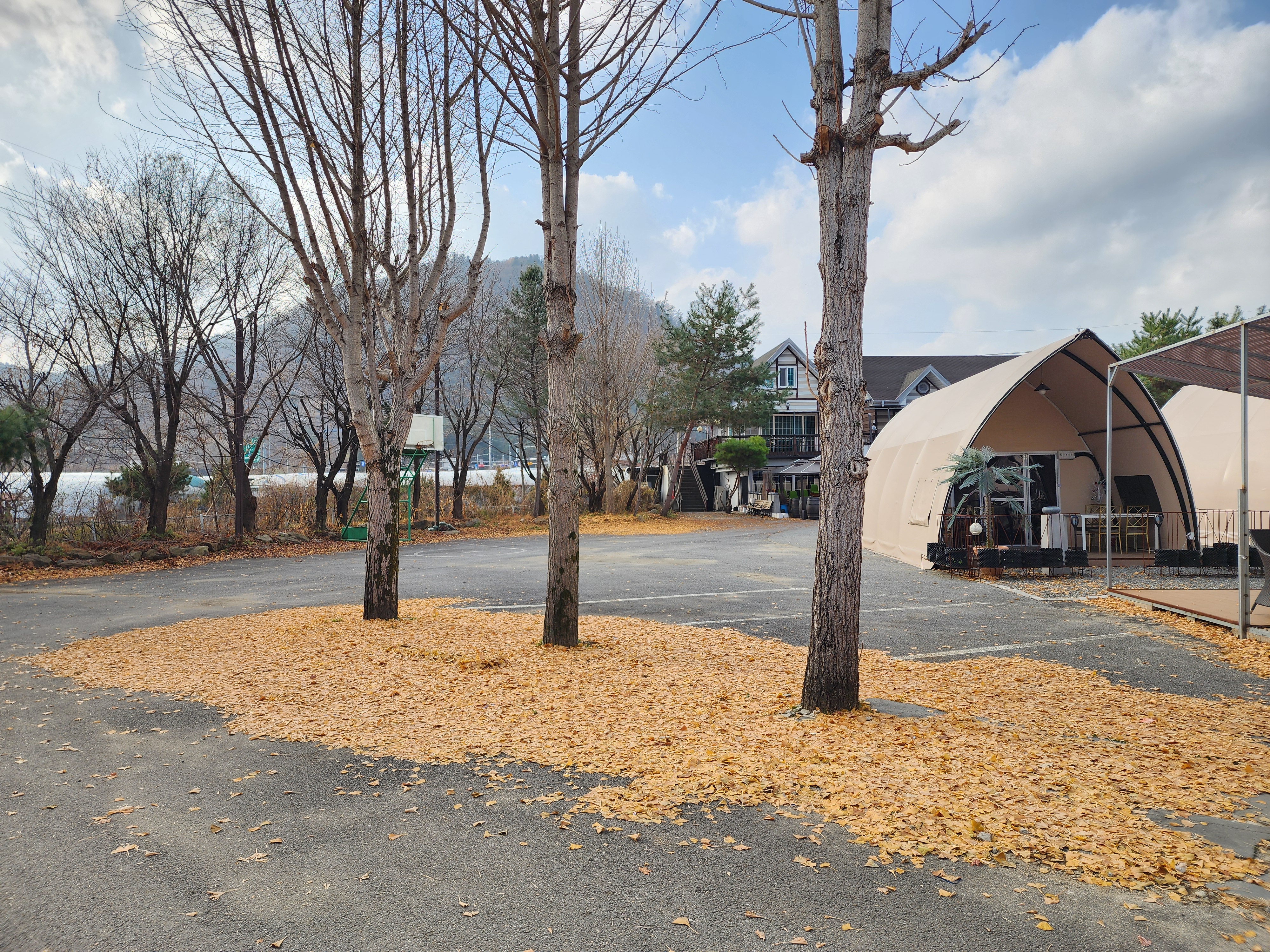 페르마타 이미지