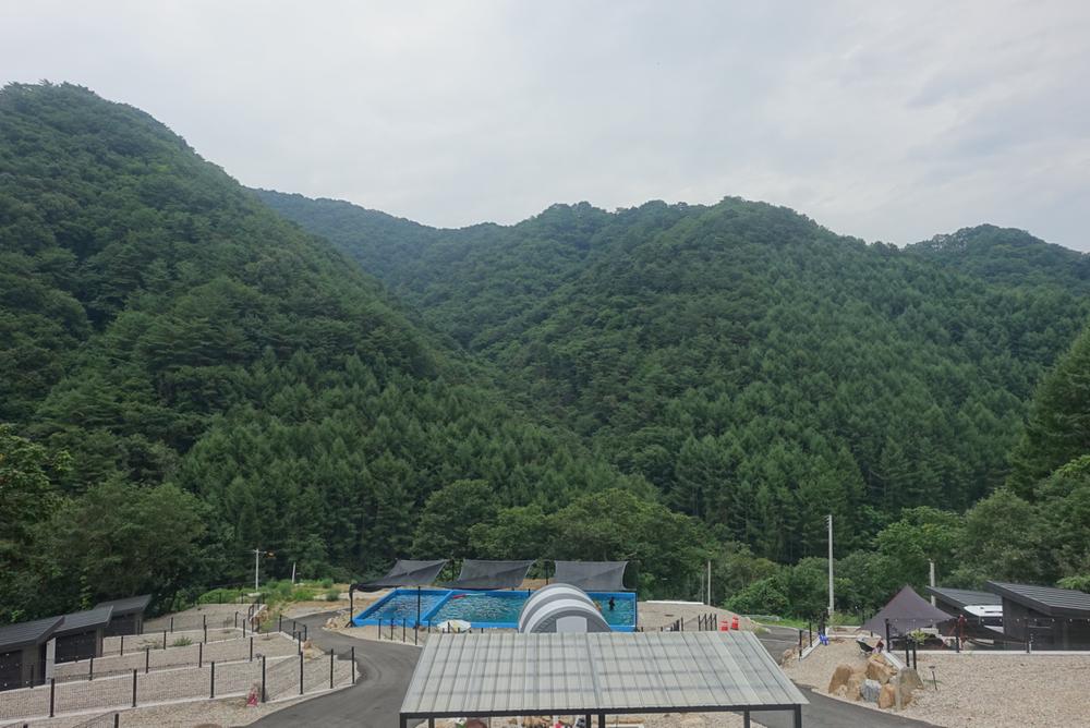 홈사리캠핑장