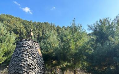 캠핑장소개 이미지