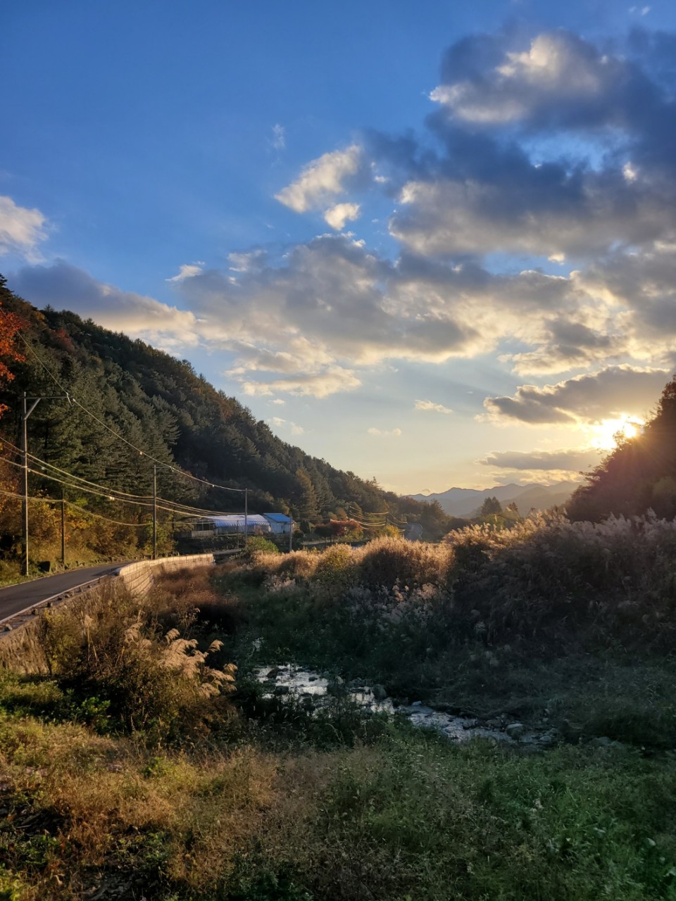 명마동 캠핑장 2번째 이미지