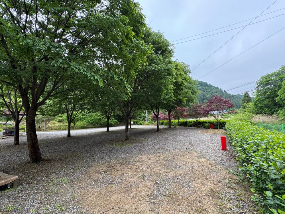 명마동 캠핑장 5번째 이미지