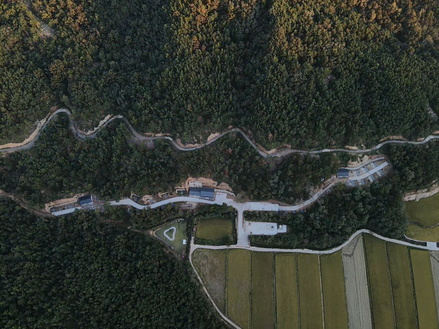 의성단밀숲속야영장 6번째 이미지