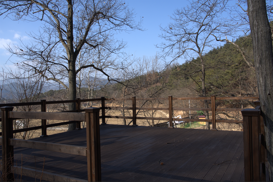 의성단밀숲속야영장 12번째 이미지