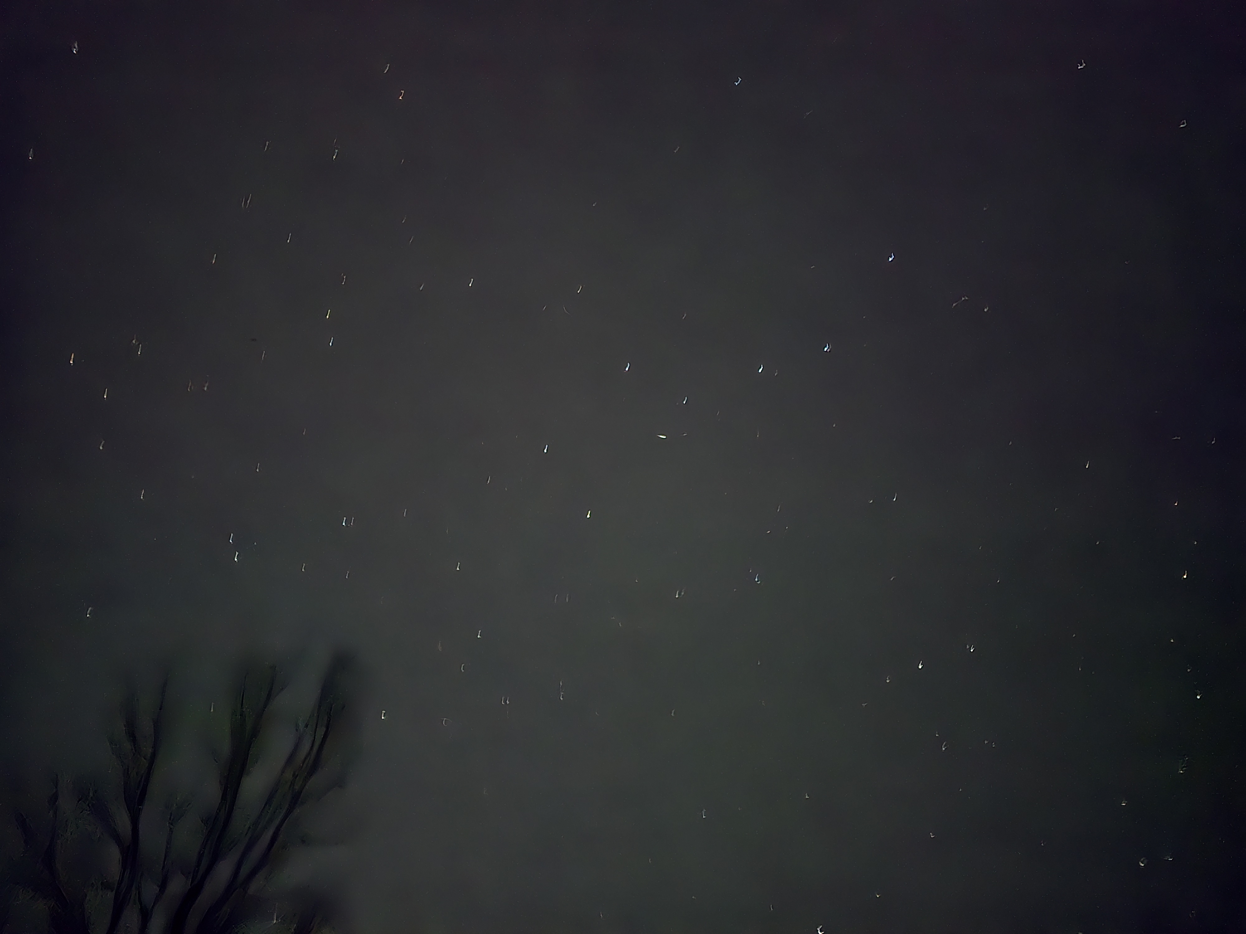 의성단밀숲속야영장 17번째 이미지