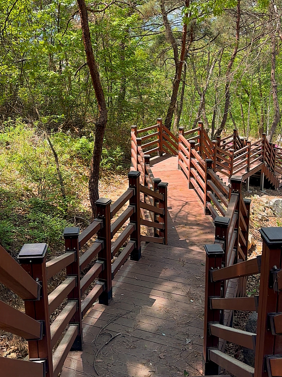 의성단밀숲속야영장 2번째 이미지