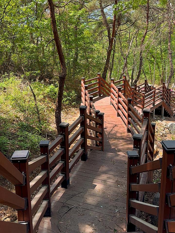 의성단밀숲속야영장 대표 이미지