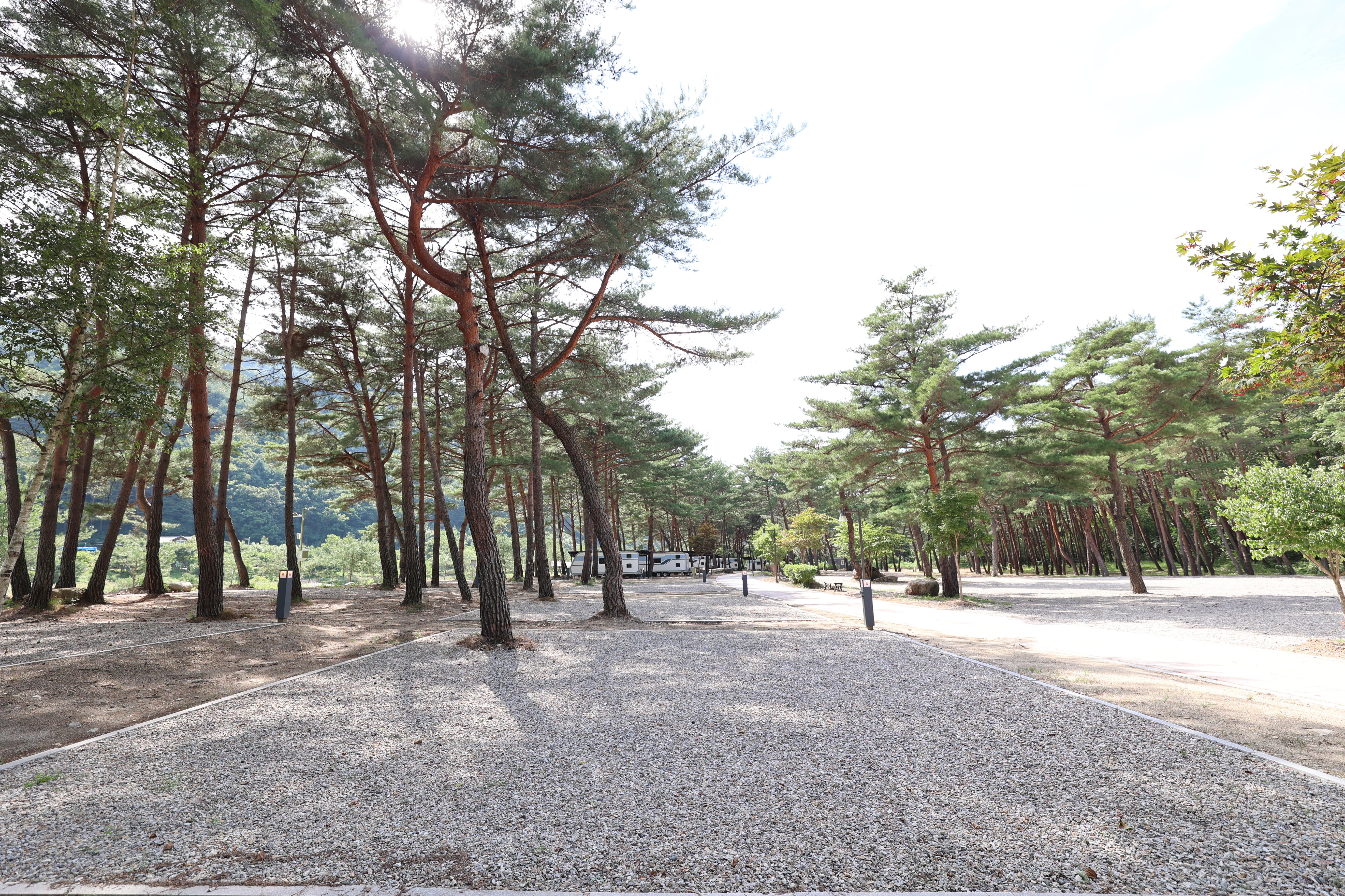 한계령 힐링 캠핑장 8번째 이미지