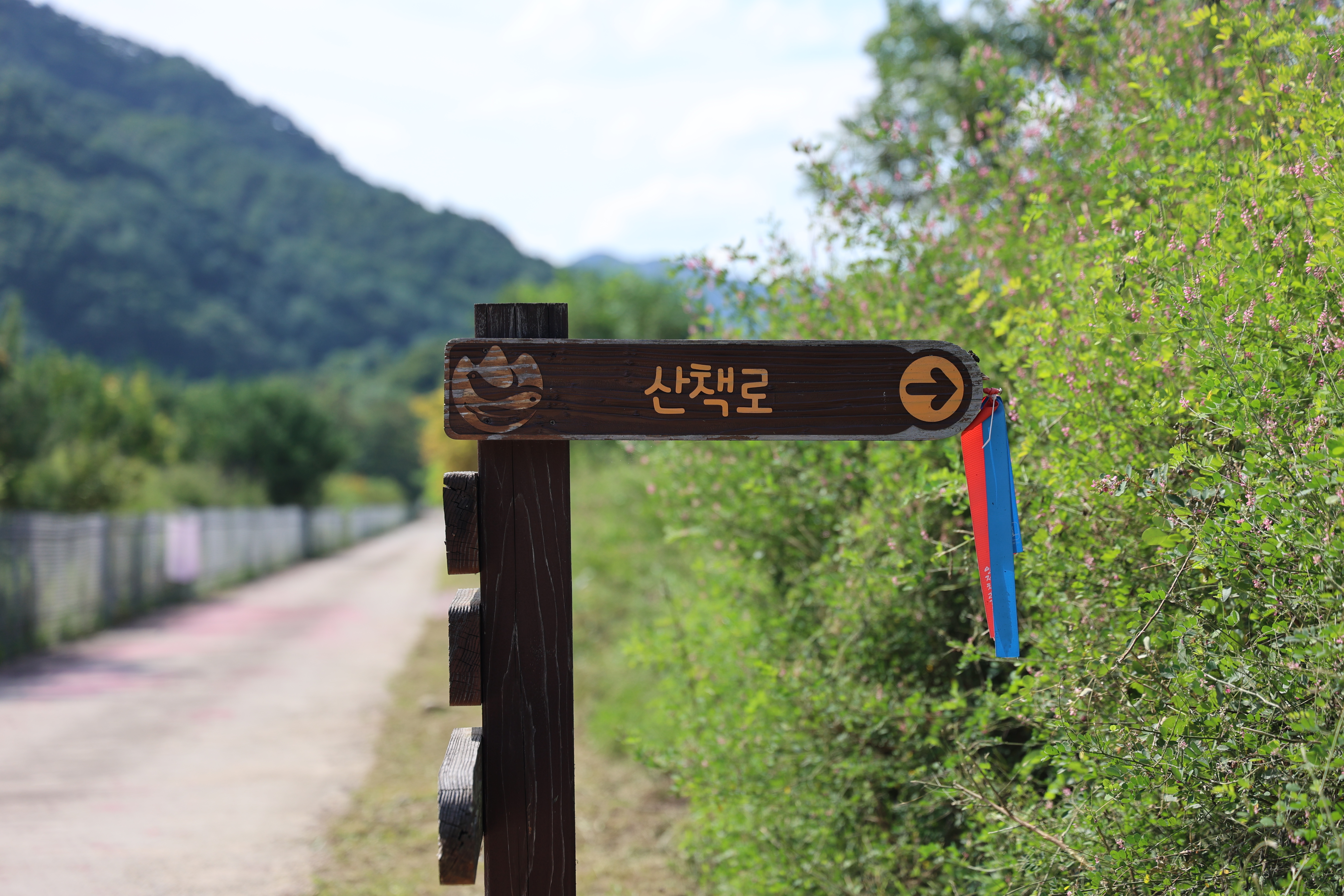 한계령 힐링 캠핑장 4번째 이미지