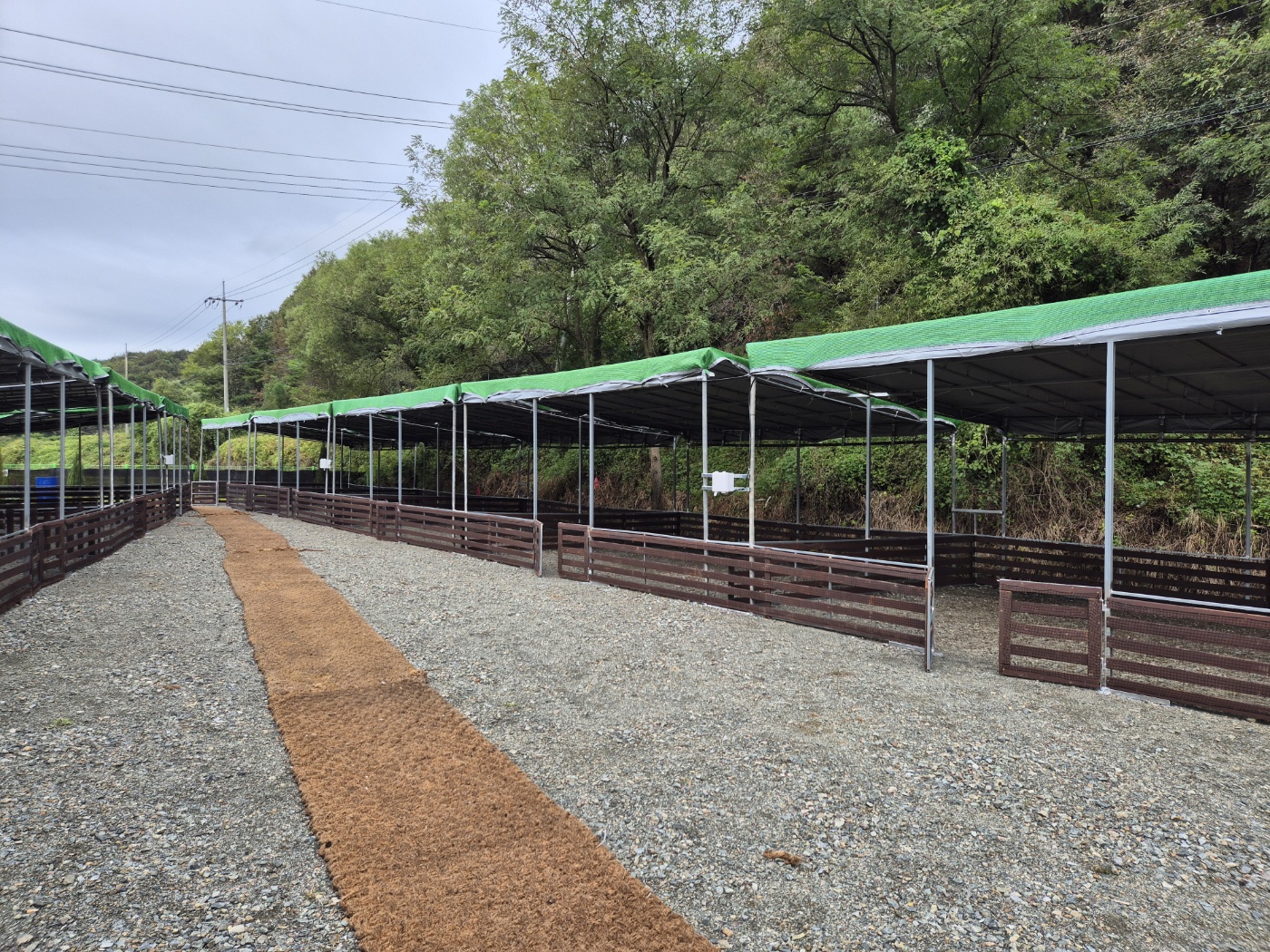 도지캠핑 3번째 이미지