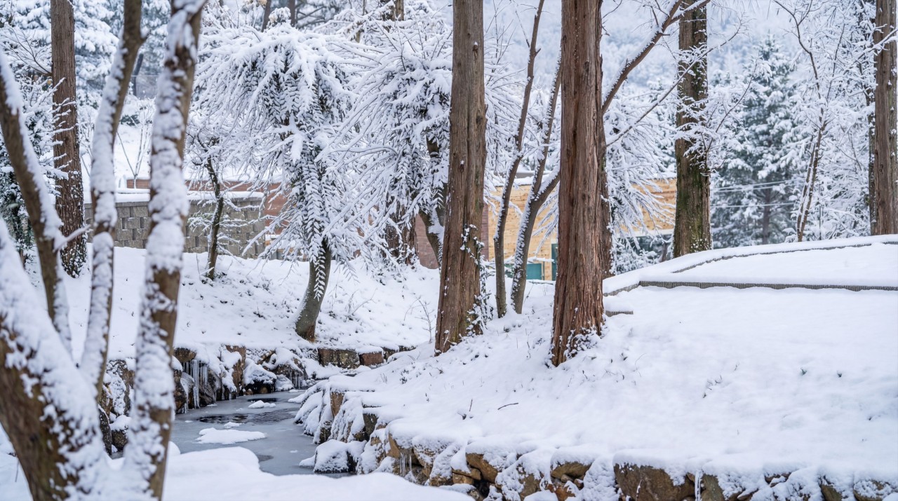 캠프 네버랜드 9번째 이미지