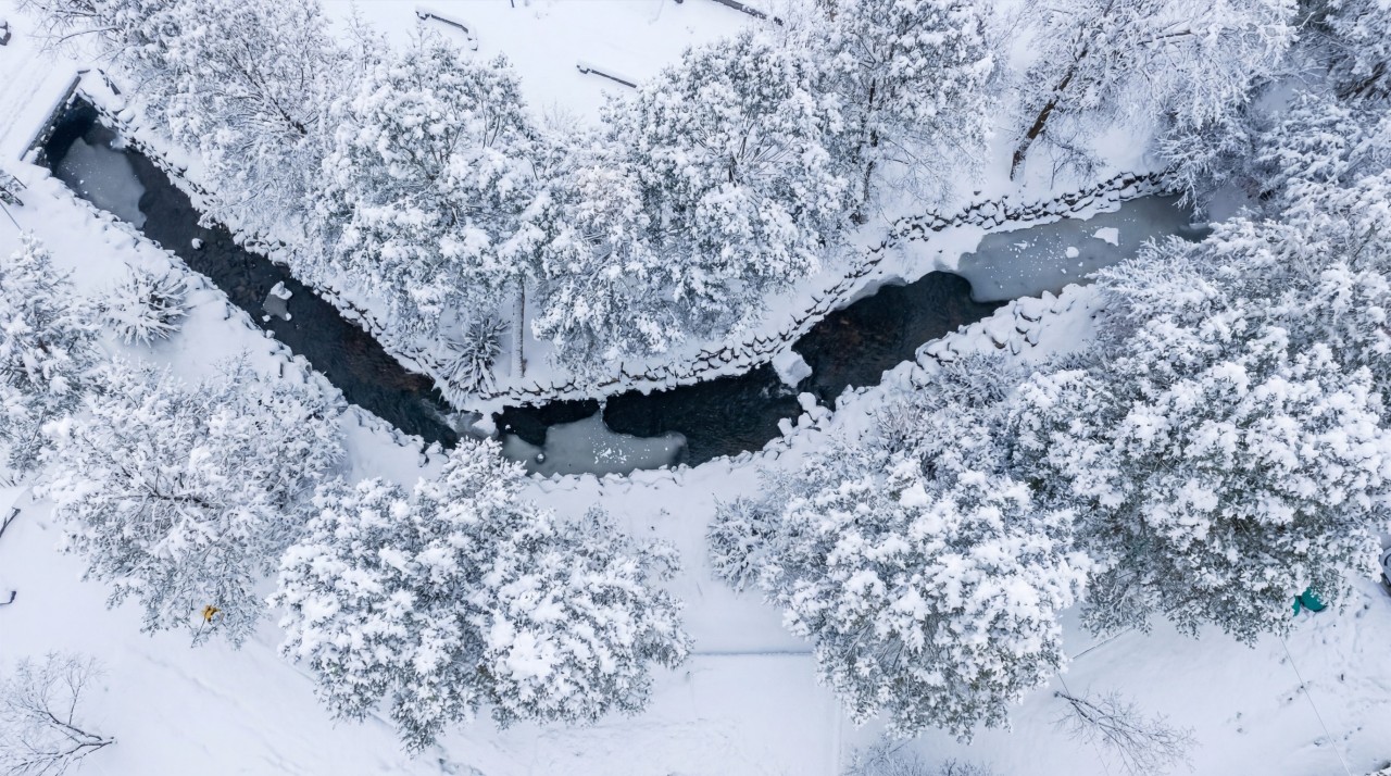 캠프 네버랜드 4번째 이미지