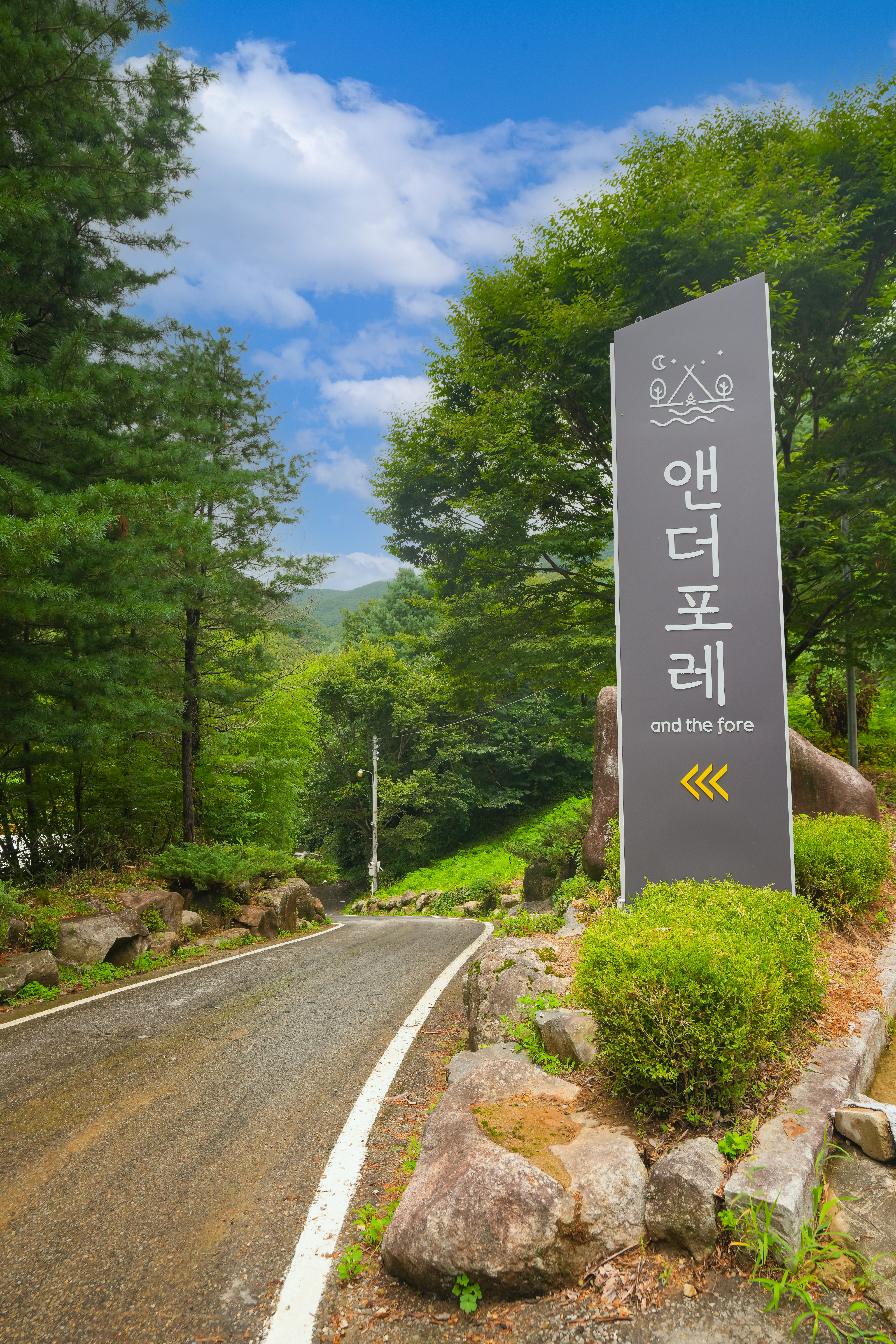 앤더포레 이미지