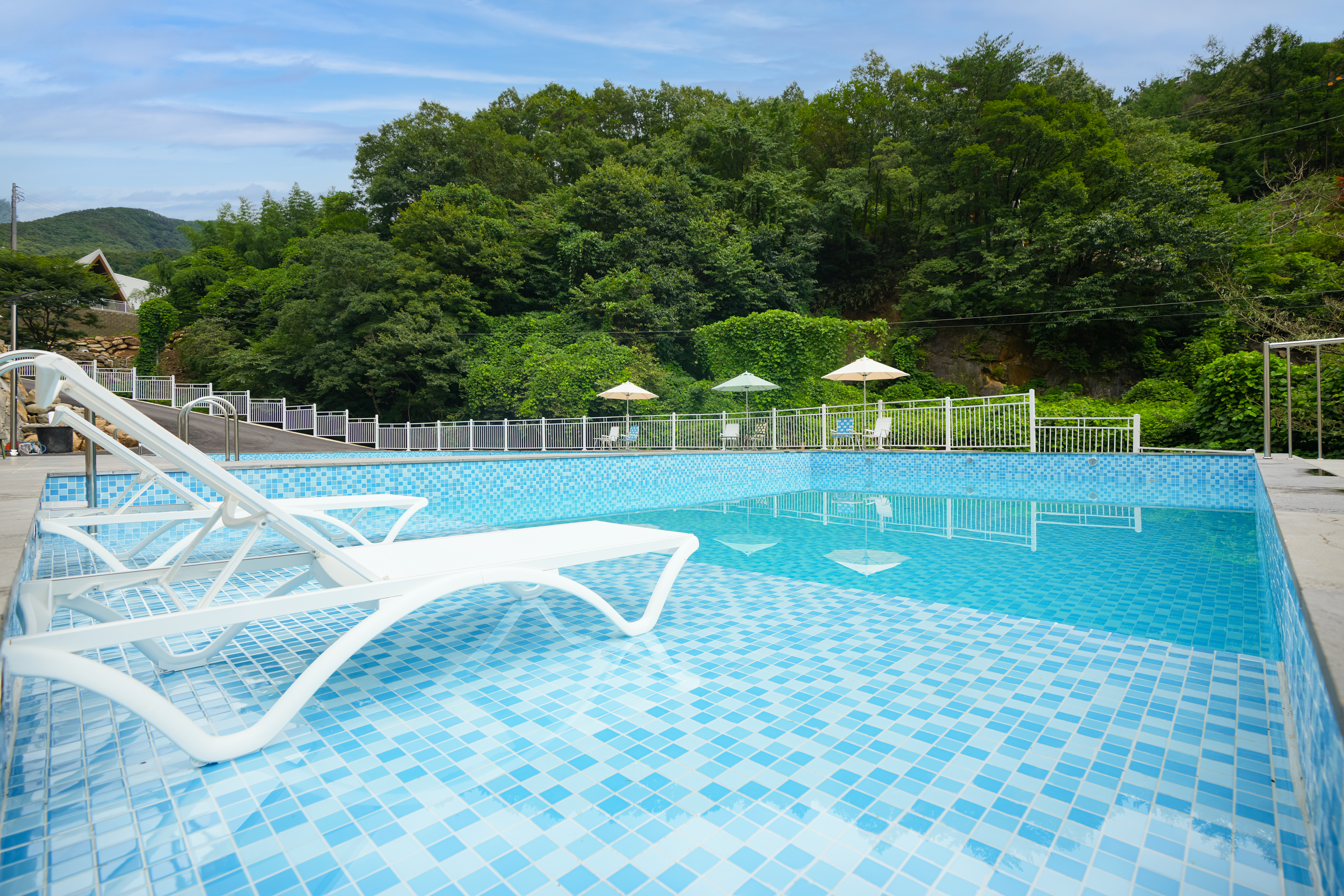 앤더포레 이미지