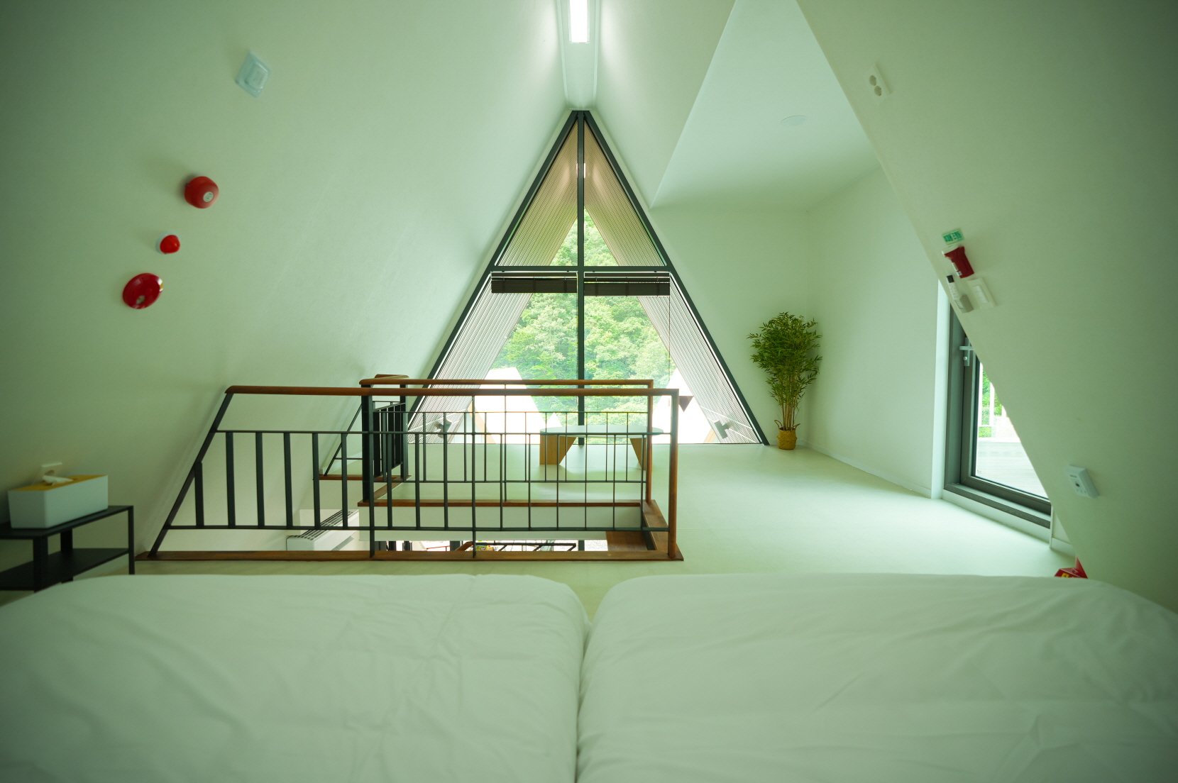 앤더포레 이미지