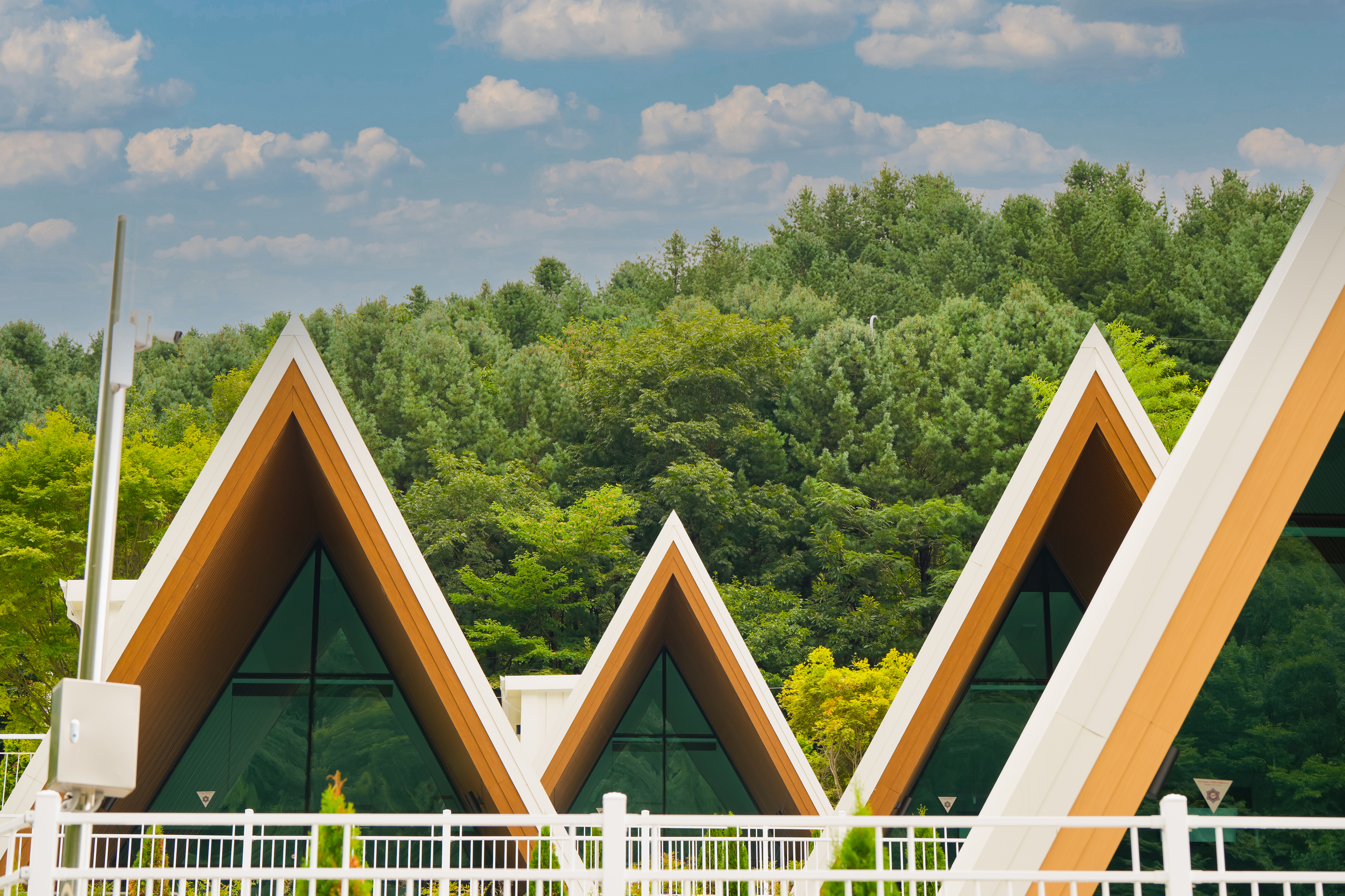 앤더포레 이미지