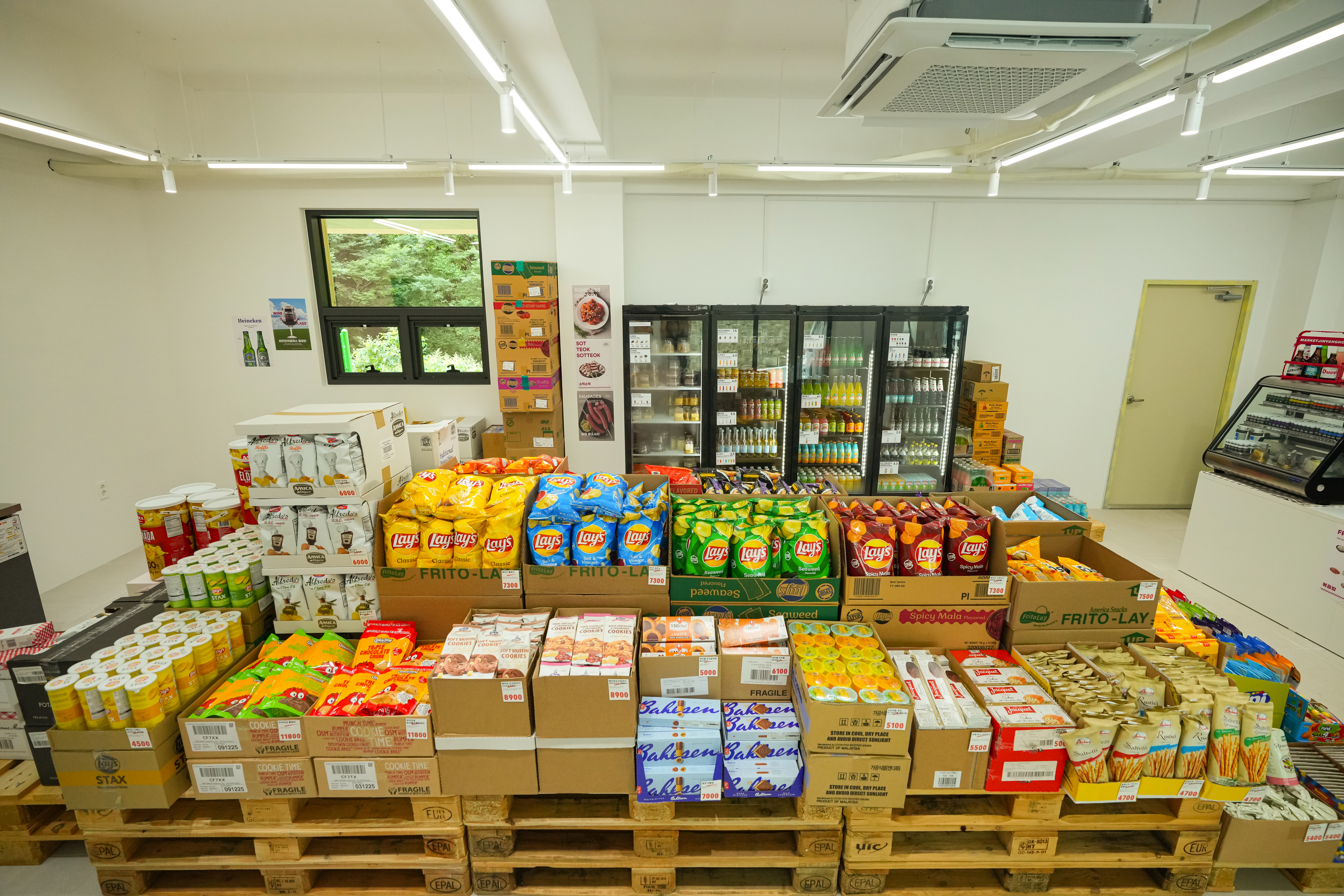 앤더포레 이미지