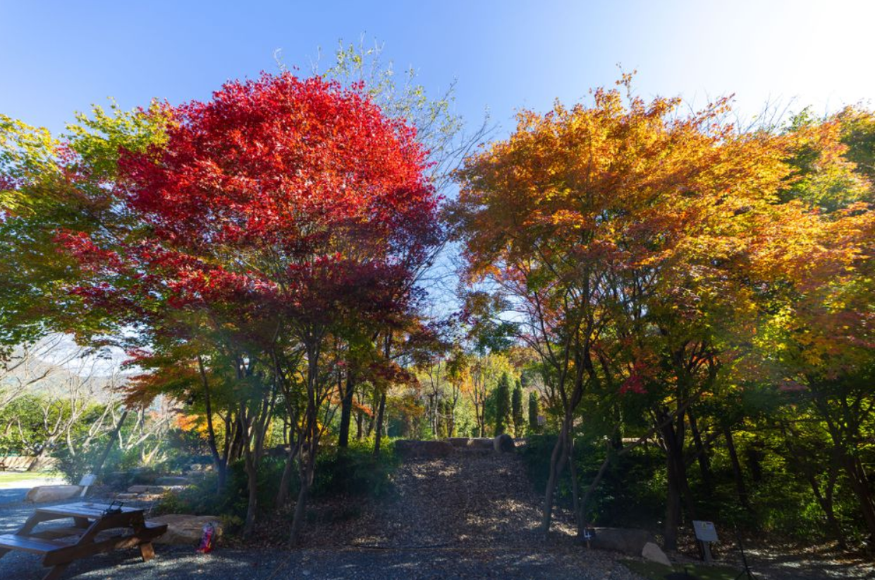 부곡허브농원캠핑장 11번째 이미지