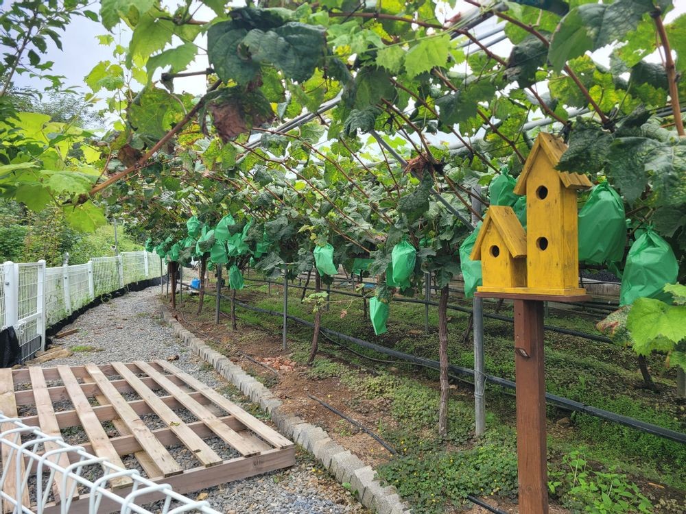 미꾸라지 캠핑장 15번째 이미지