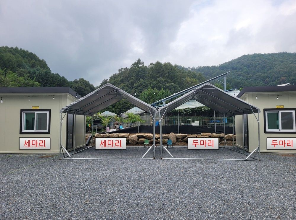 미꾸라지 캠핑장 12번째 이미지