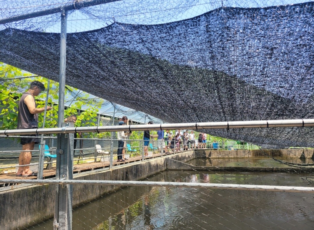 미꾸라지 캠핑장 8번째 이미지