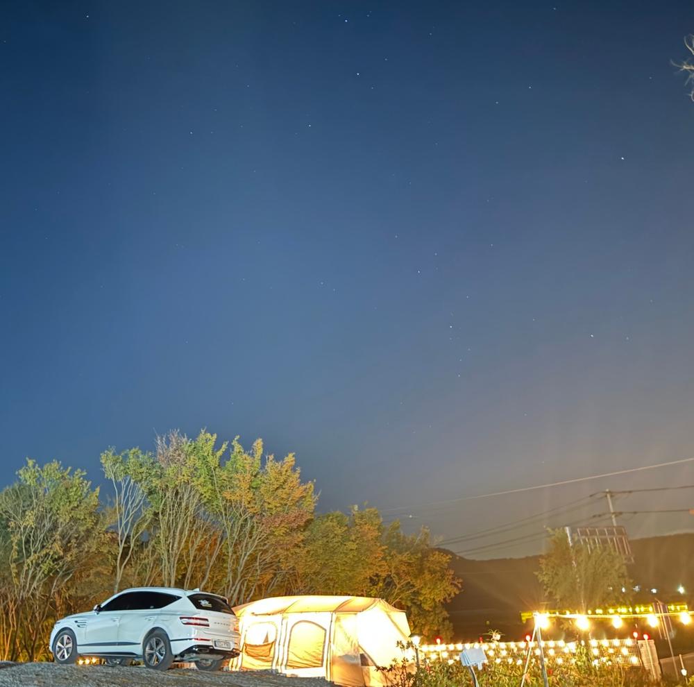 부여 사랑나무 캠핑장