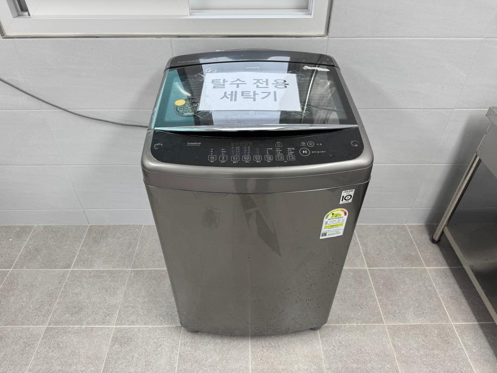 부여 사랑나무 캠핑장