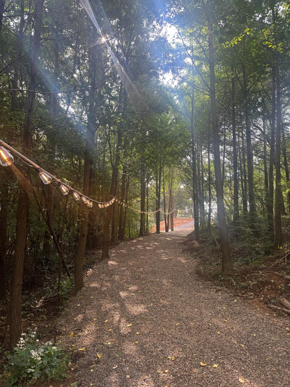 부여 사랑나무 캠핑장