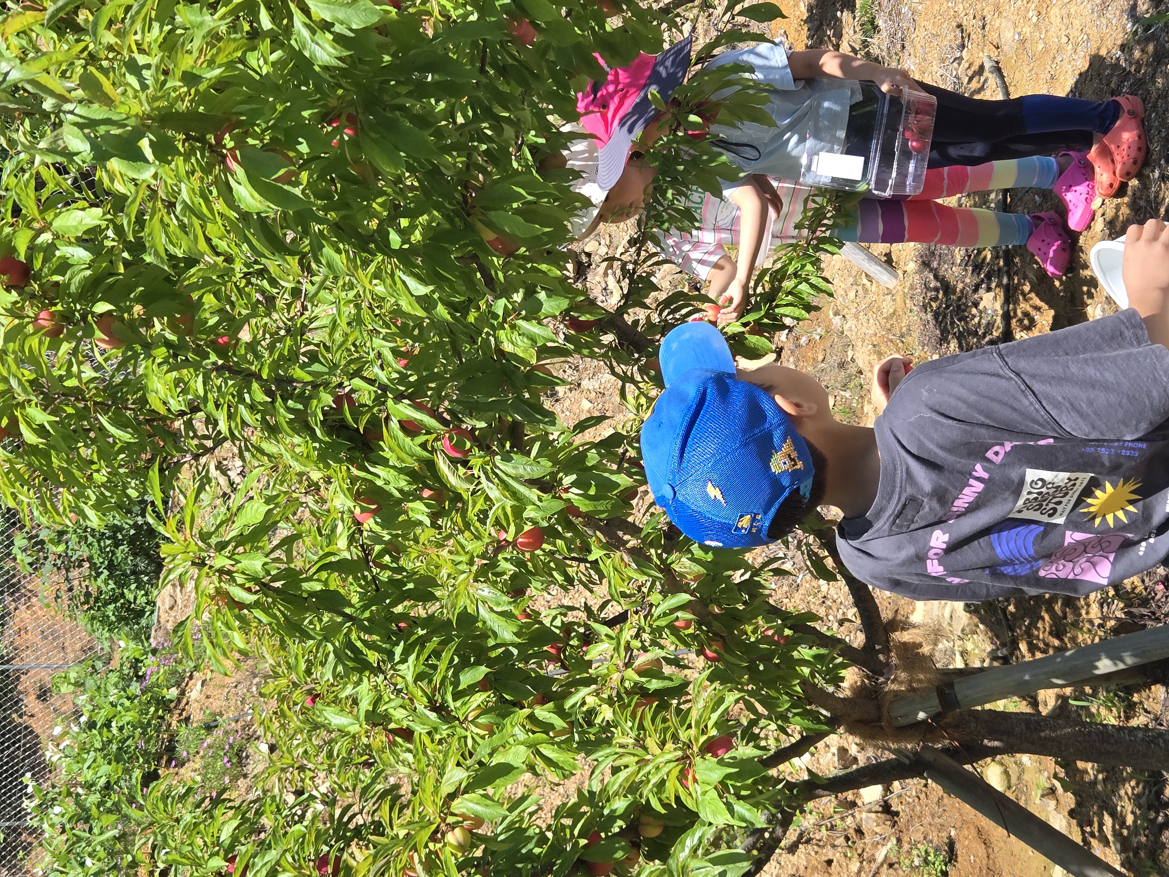 고성동화캠핑장 5번째 이미지