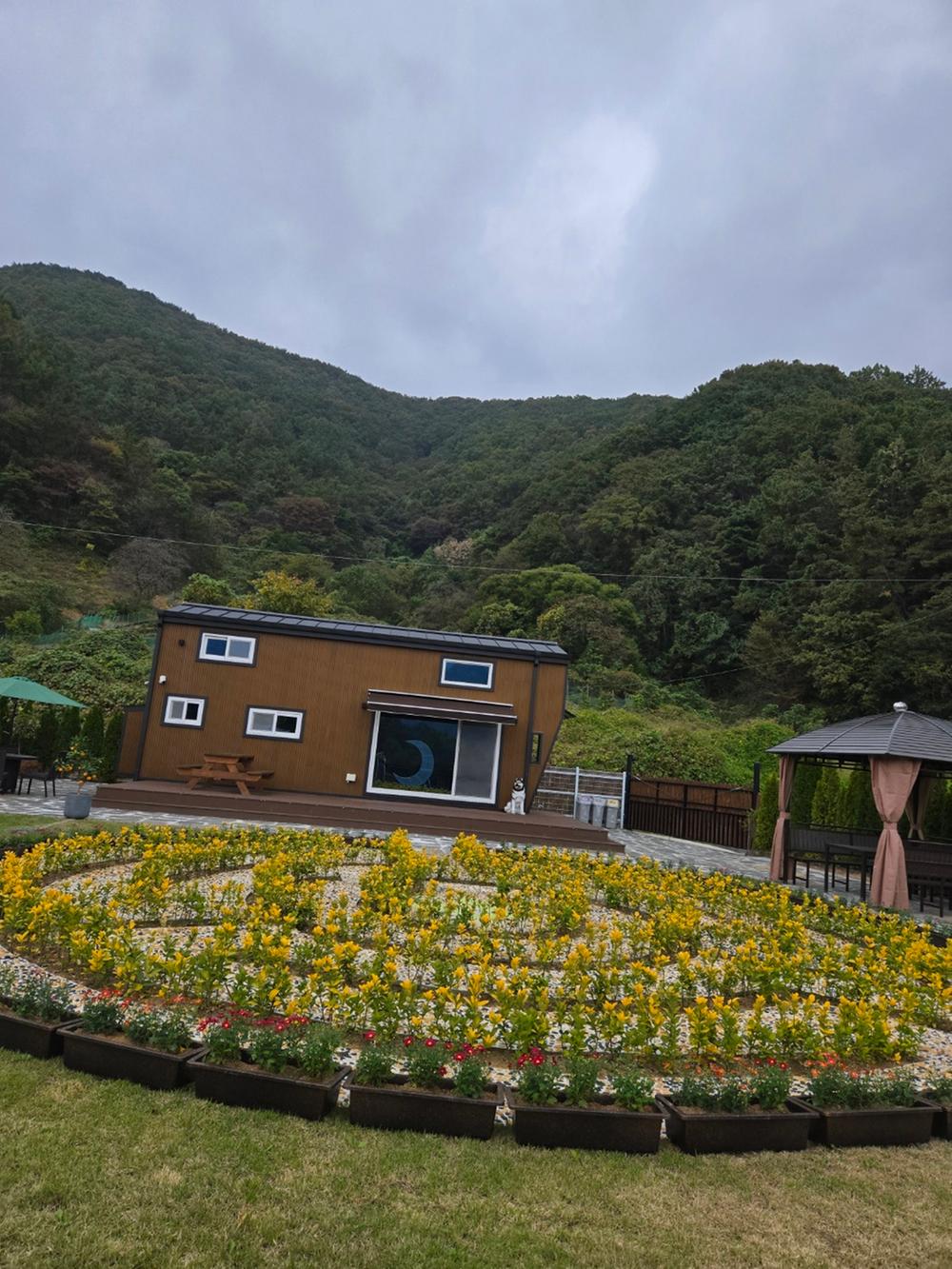 달빛소나타