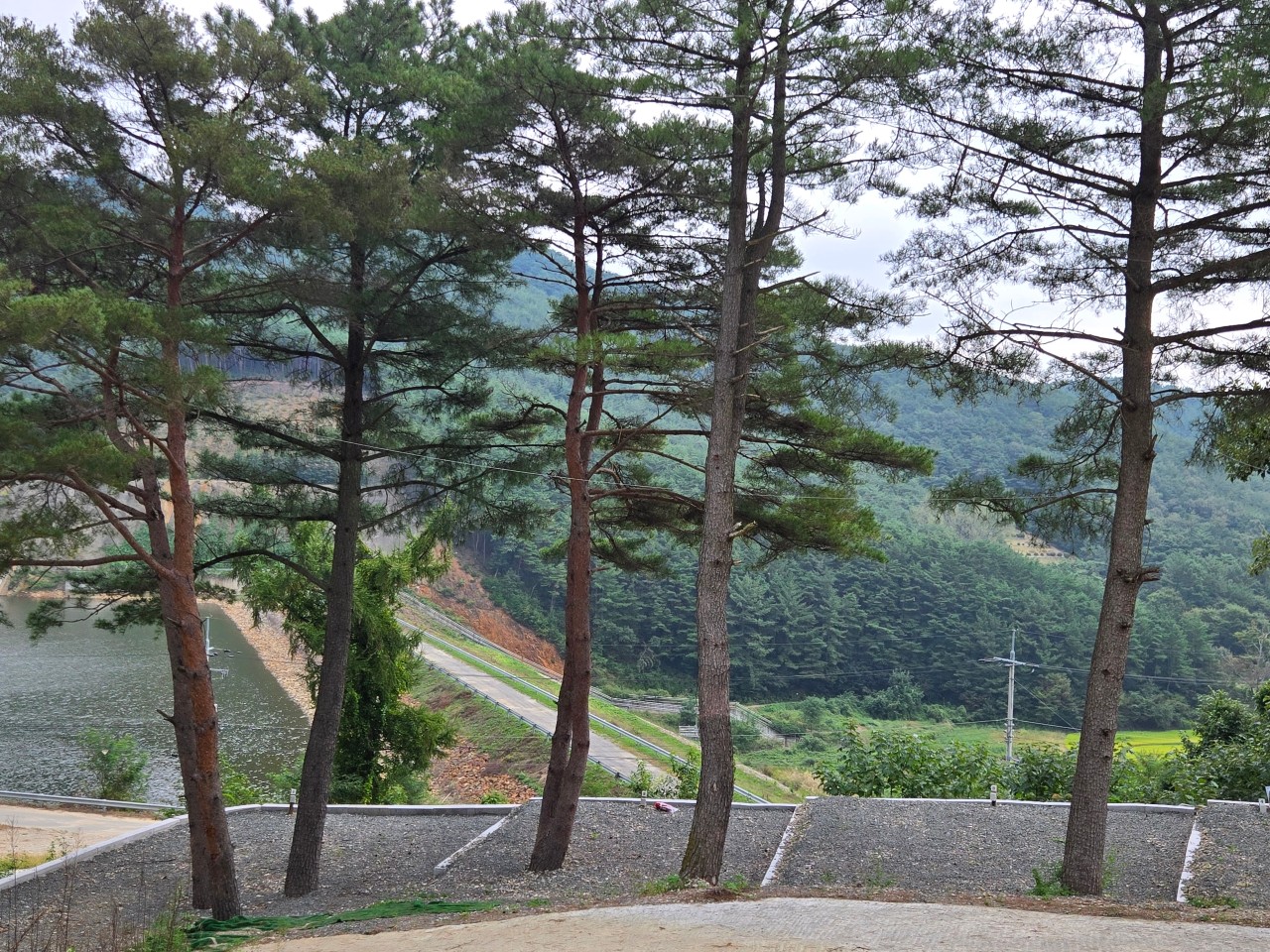 화금지 숲속캠핑장 8번째 이미지