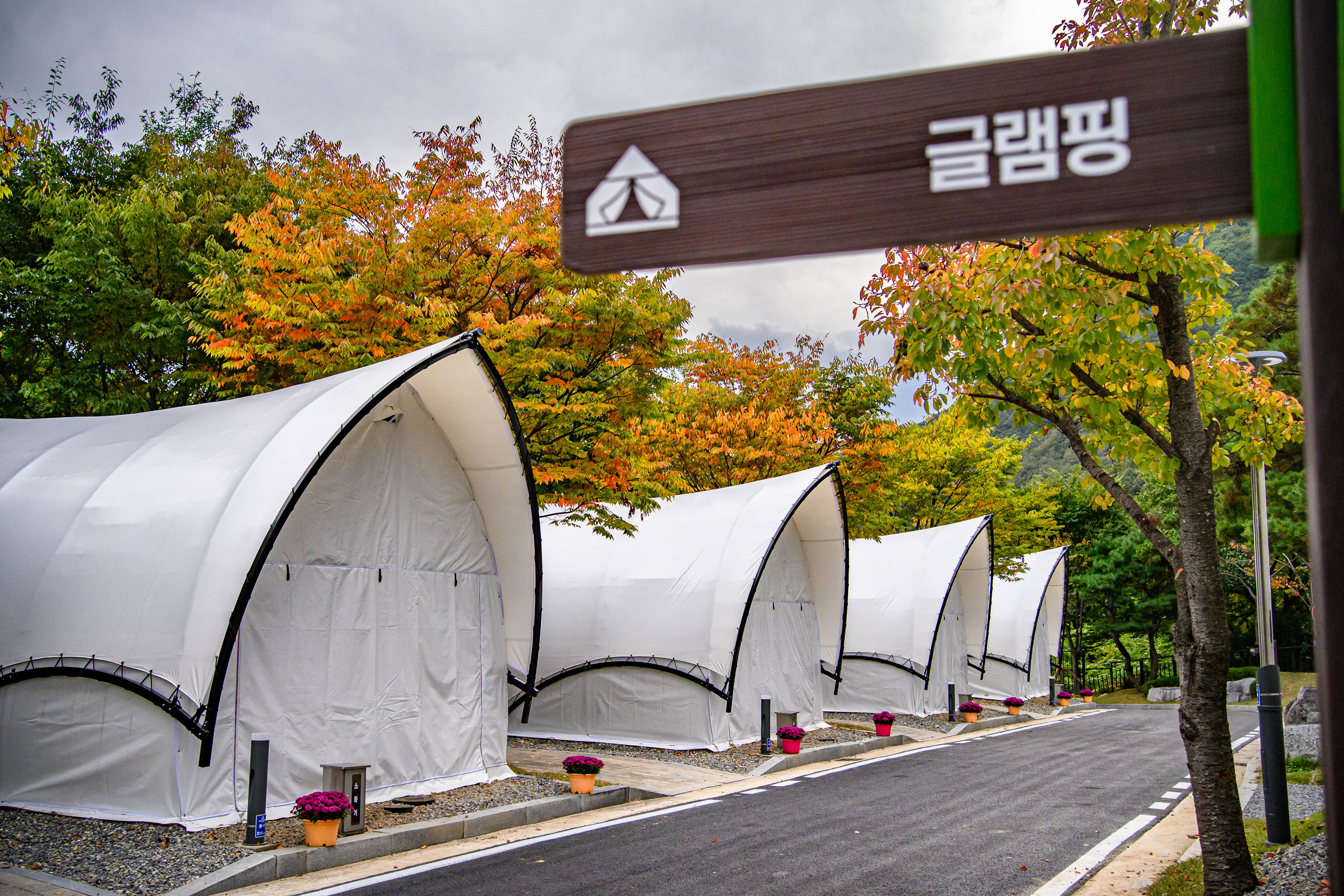 청량산 수원캠핑장 18번째 이미지