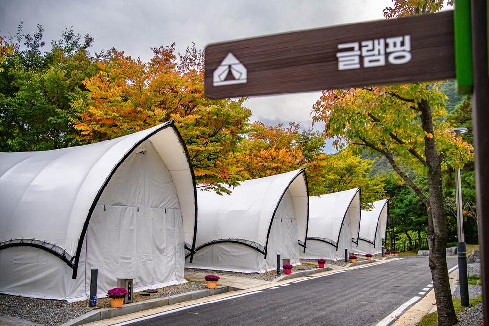 청량산 수원캠핑장