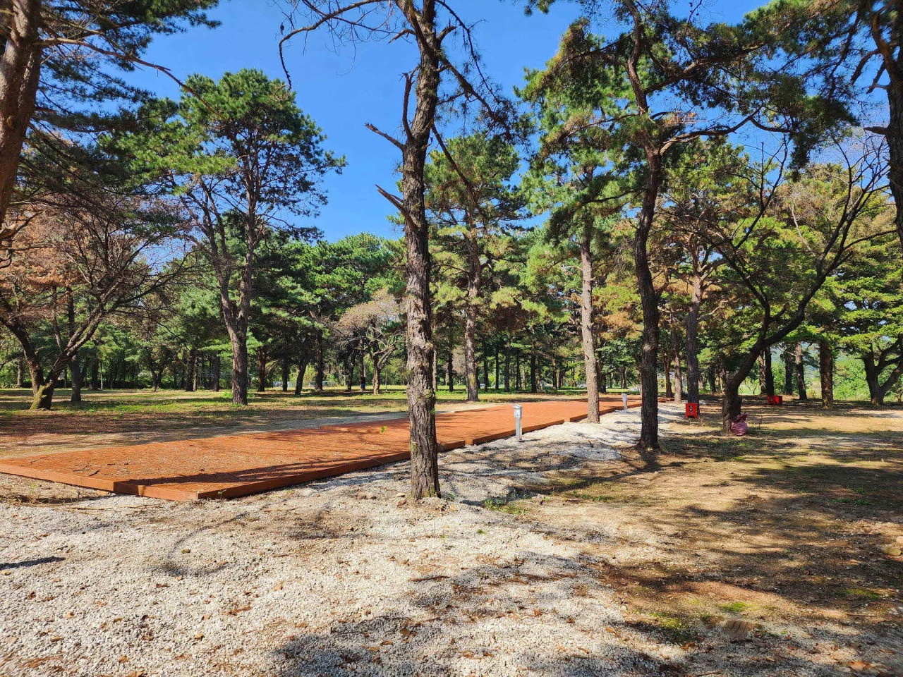 팜파스농원 이미지