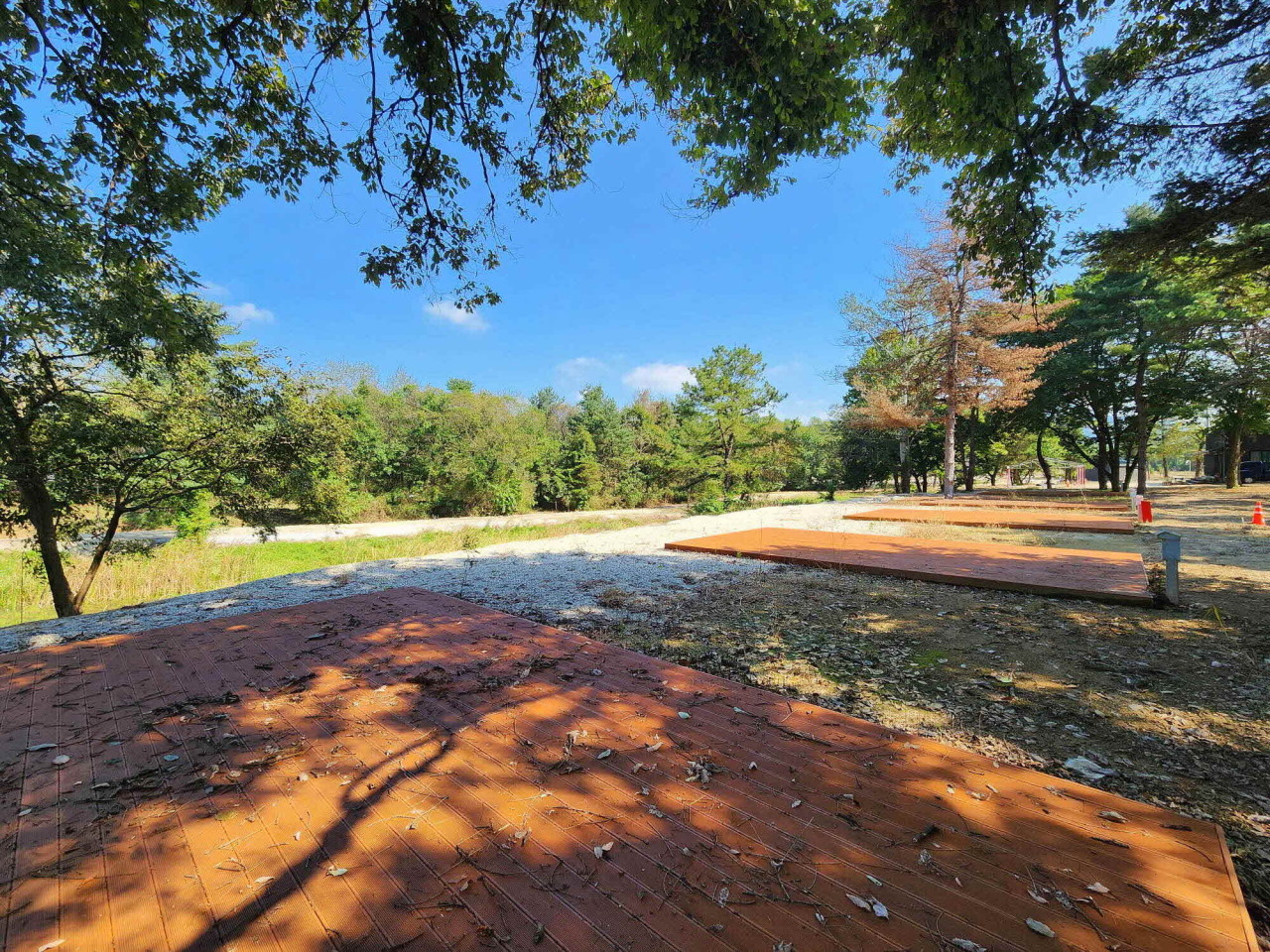 팜파스농원 이미지