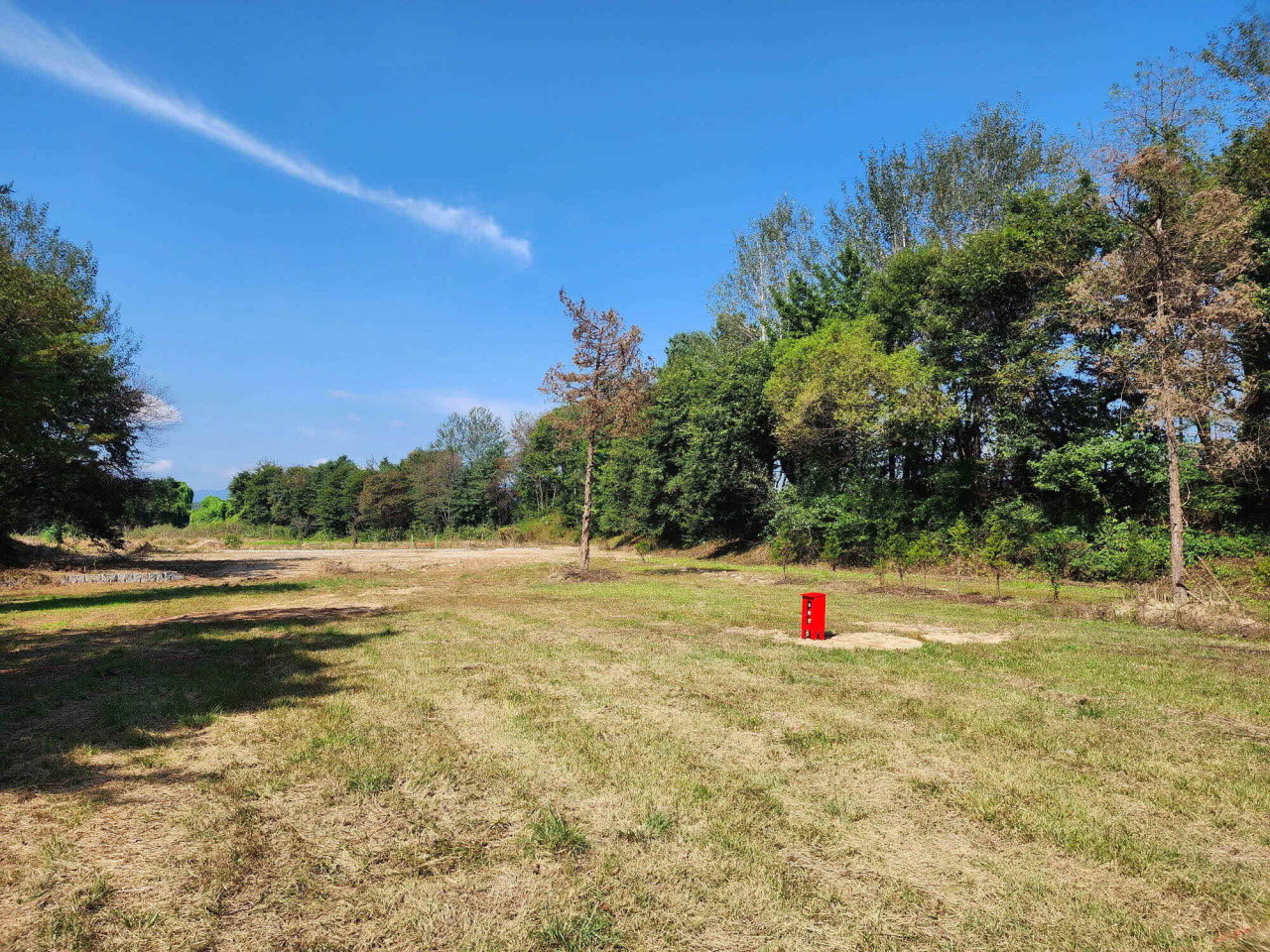 팜파스농원 이미지