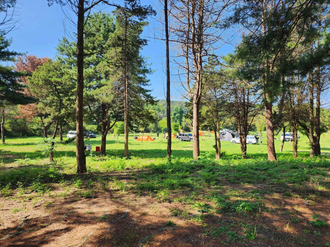 팜파스농원 이미지