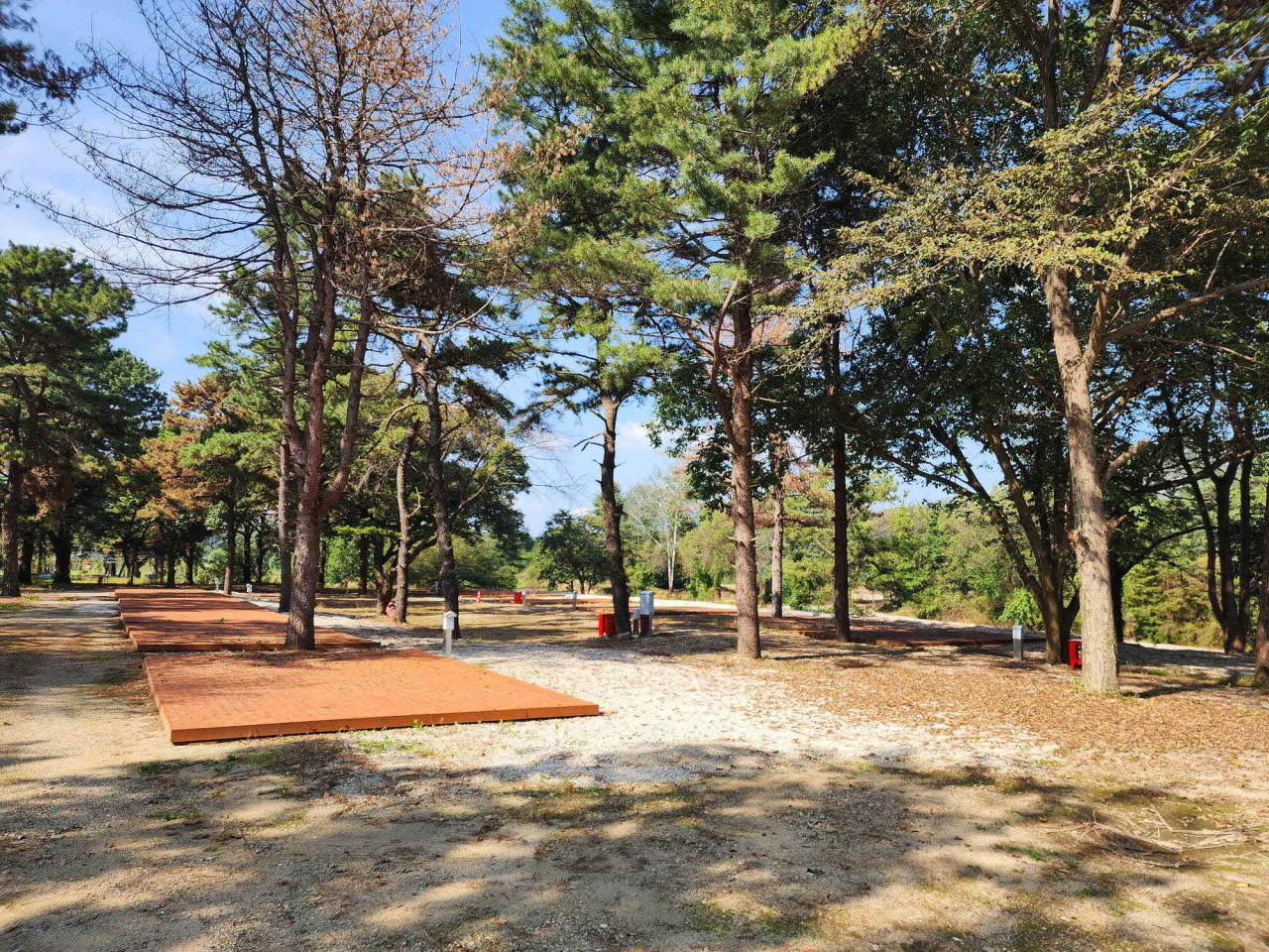 팜파스농원 이미지