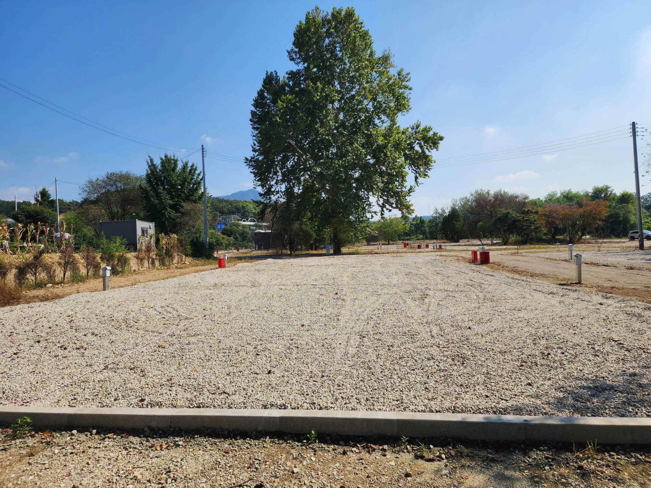 팜파스농원 이미지