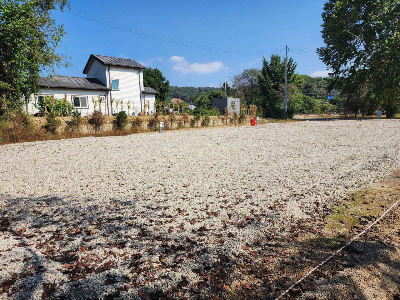 팜파스농원 이미지