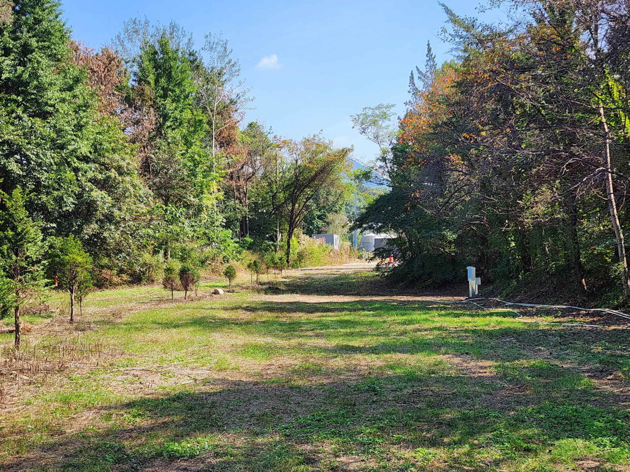 팜파스농원 이미지