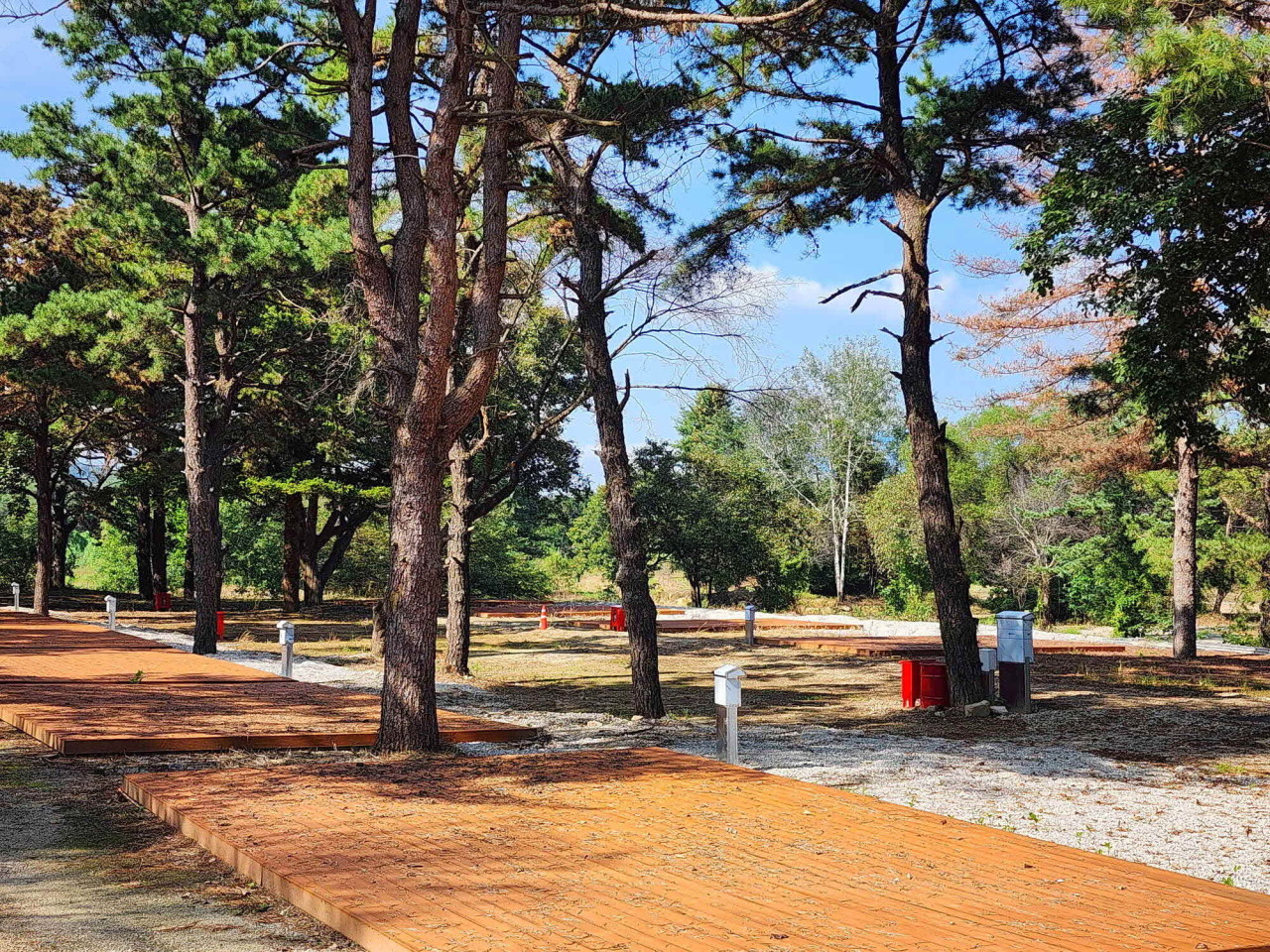 팜파스농원 이미지