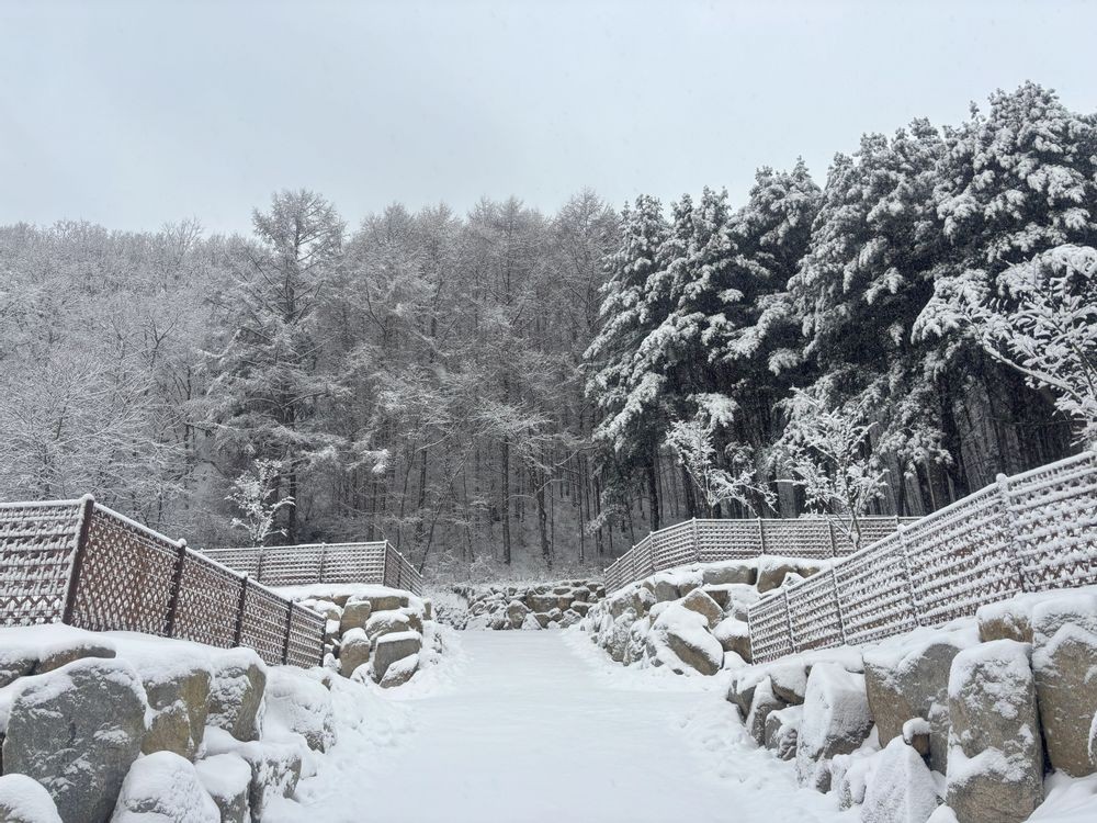고슬로우 캠핑장 16번째 이미지