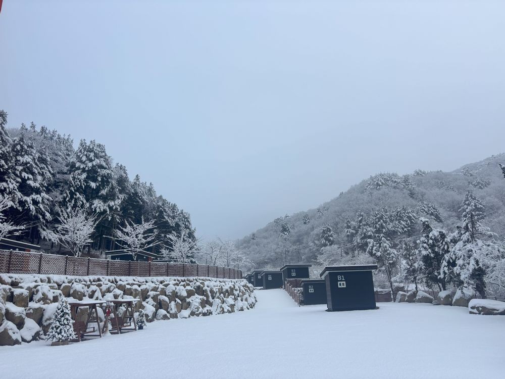 고슬로우 캠핑장 15번째 이미지